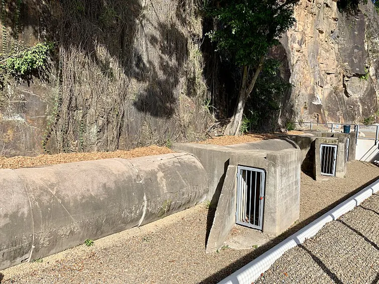Entrances to air raid shelter at Howard Smith Wharves, Brisbane