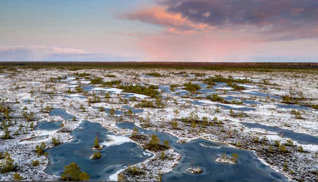 aerial photo of frozen peat bog