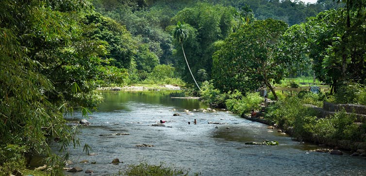 Featured Image