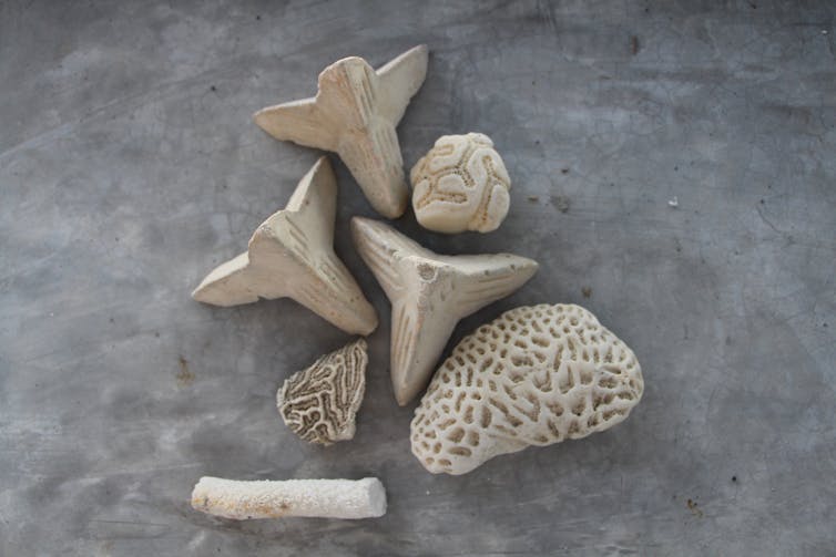 A selection of pieces of artificial coral rubble.
