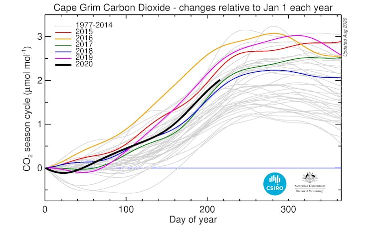 Daily baseline values for CO₂ for each year from 1977 relative to 1 January for that year