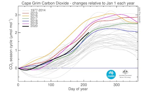 Daily baseline values for CO₂ for each year from 1977 relative to 1 January for that year