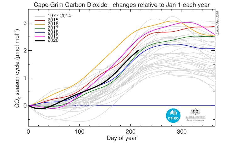 Daily baseline values for COâ‚‚ for each year from 1977 relative to 1 January for that year