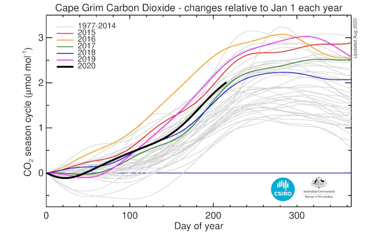 Daily baseline values for CO₂ for each year from 1977 relative to 1 January for that year