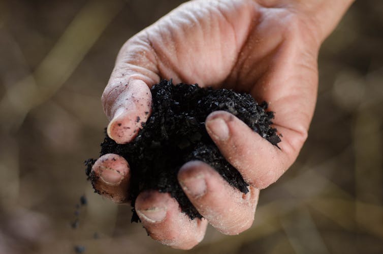 A handful of biochar.