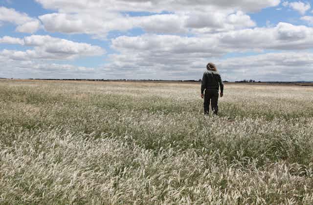 A person stands in a sweeping flat grassland.