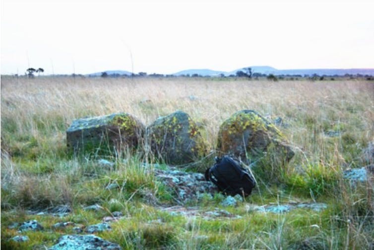 Dark boulders on grasslands represent the Wurdi Youang stone circle