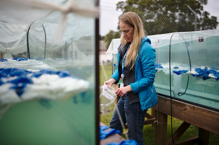 The author prepares to sample latex balloons in front of water tanks