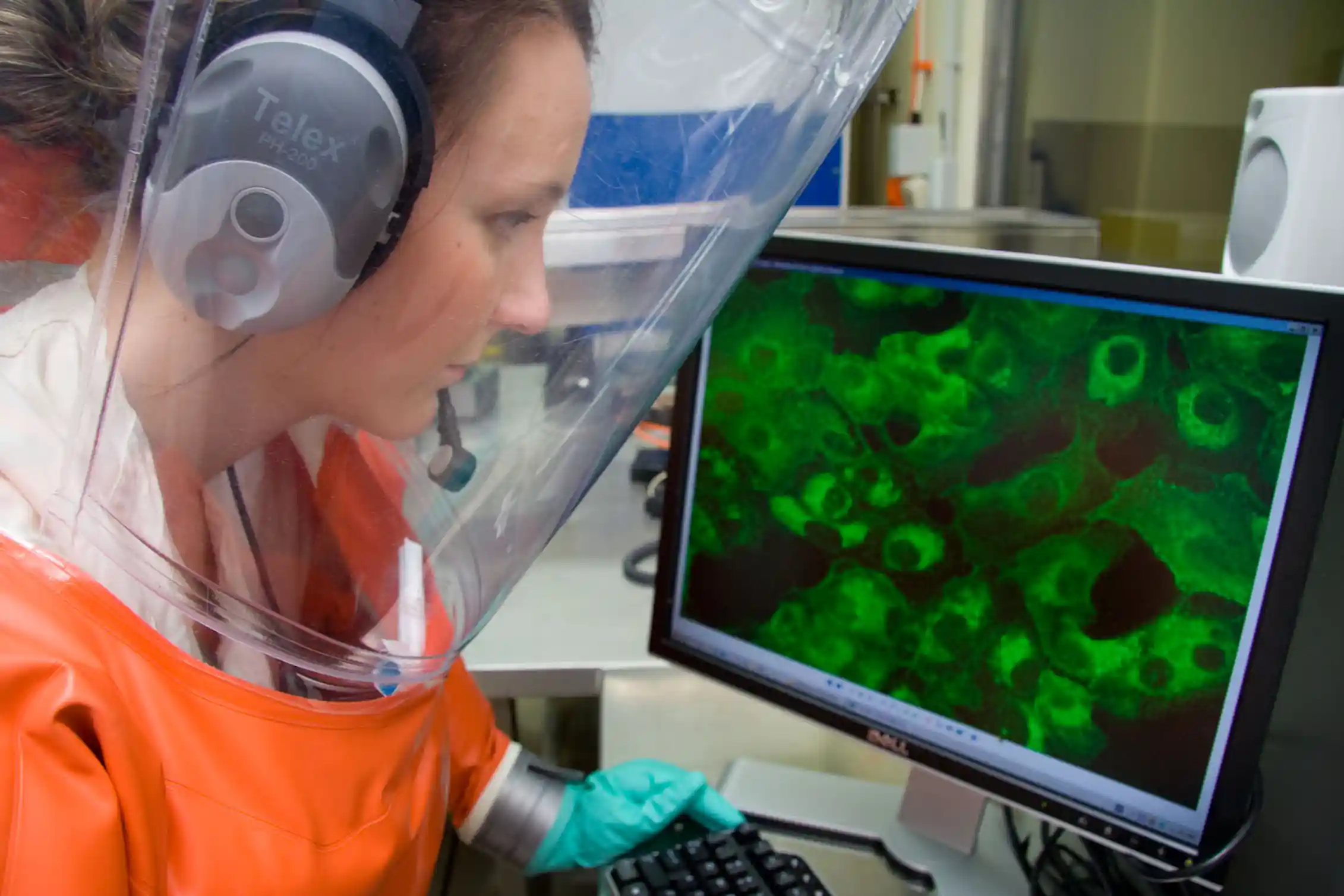 Bio Insecurity Explainer: why Australia needs biosecurity