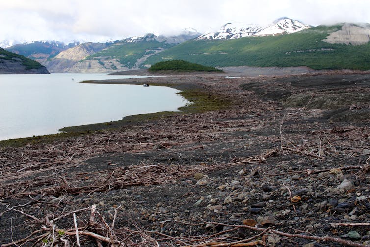 A landscape stripped of trees next to a fiord