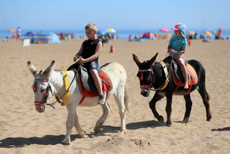 two children riding donkeys on a beach