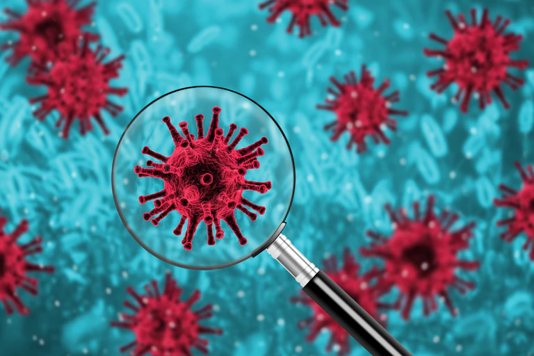 A digital image showing the coronavirus molecule under a handheld magnifying glass.