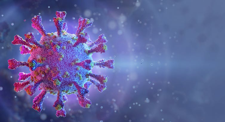 An illustration of SARS-CoV-2, the coronavirus.
