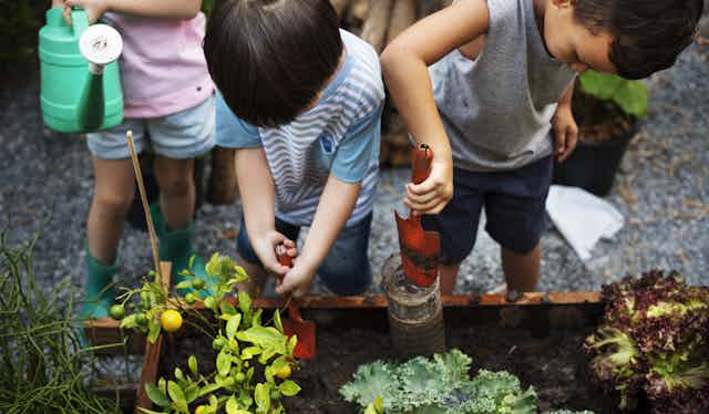 Children dig at a garden.