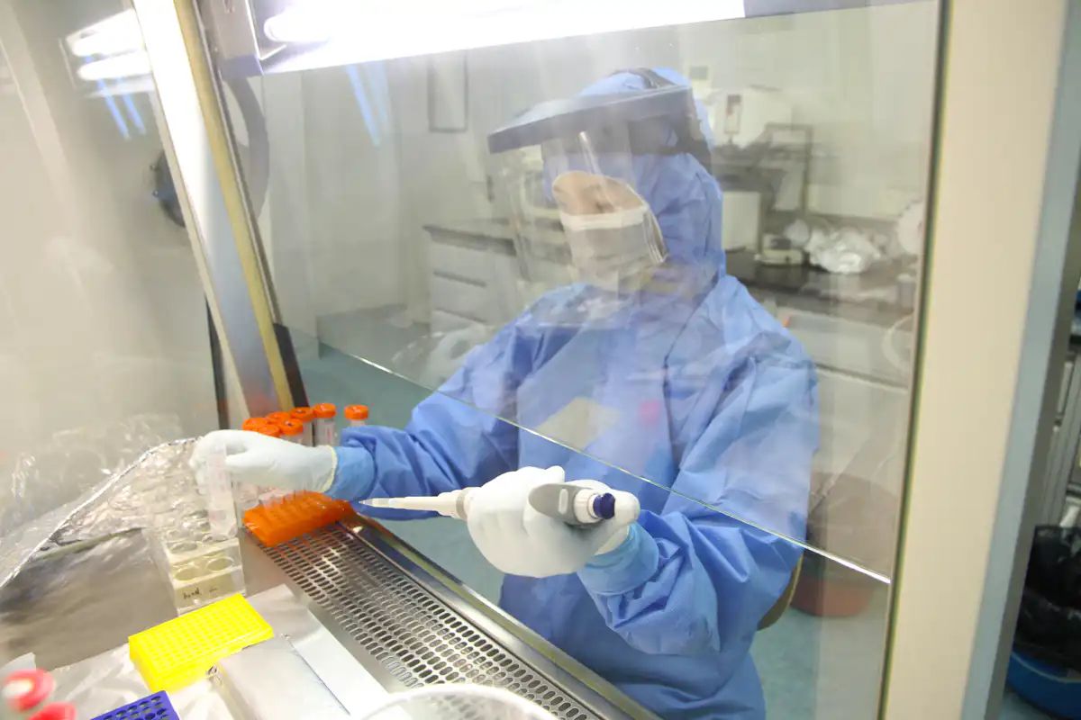 Ancient DNA is revealing the genetic landscape of people who first ...