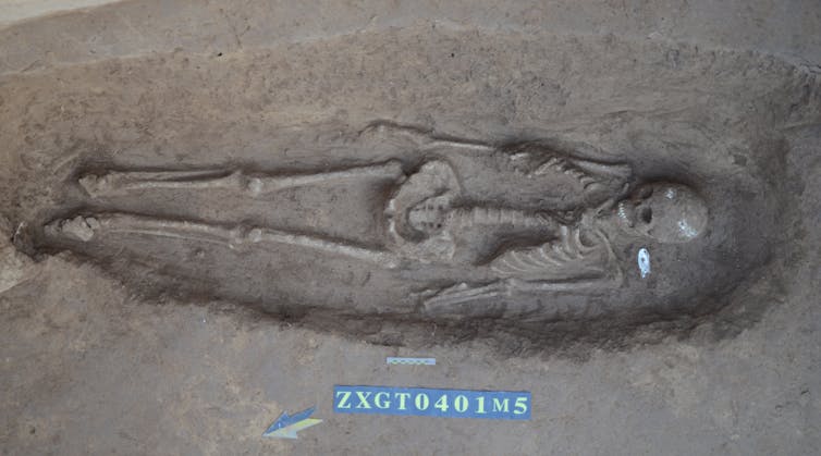 Excavation of human skeleton