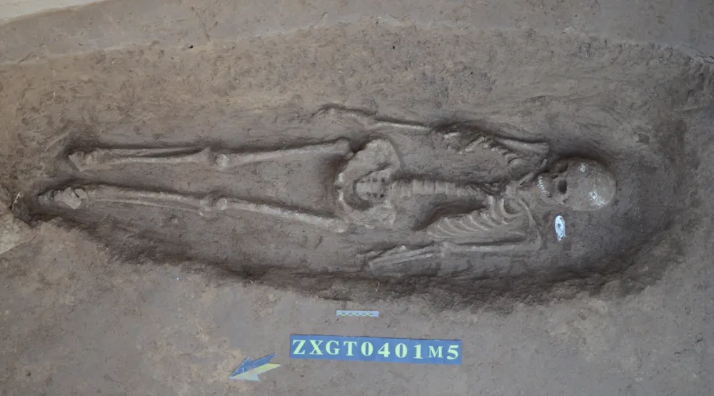 ancient dna is revealing the genetic