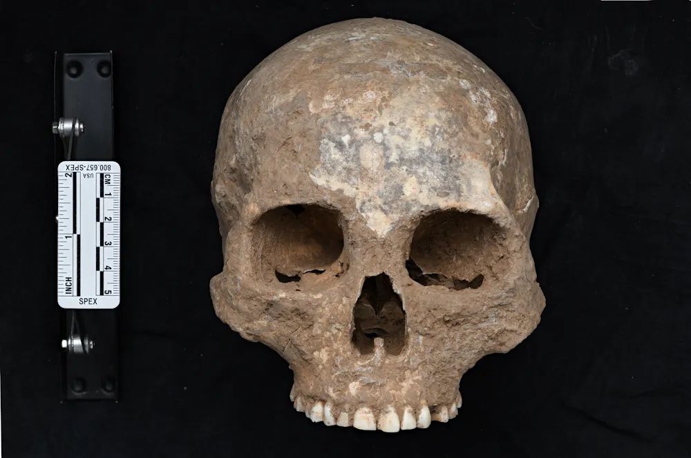 ancient dna is revealing the genetic