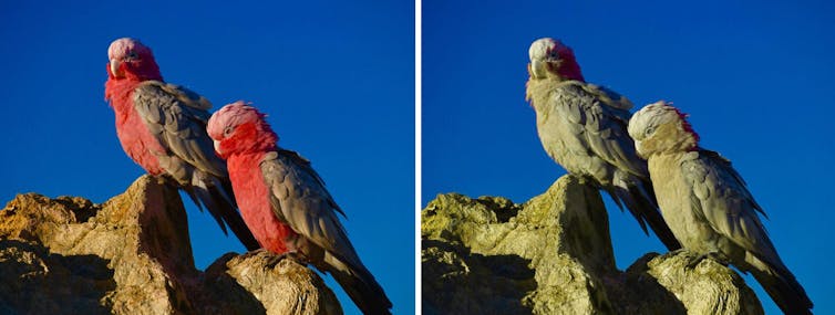 Si hubiese que resumir la historia científica en una declaración fundamental, esta podría ser: «Todas las cosas están compuestas por átomos». Tal afirmación, que hoy parece una perogrullada, no sería posible sin la teoría propuesta por el naturalista y químico inglés John Dalton en 1808, piedra angular de la física moderna.