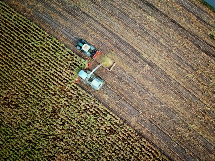 We each get 7 square metres of cropland per day. Too much booze and pizza makes us exceed it