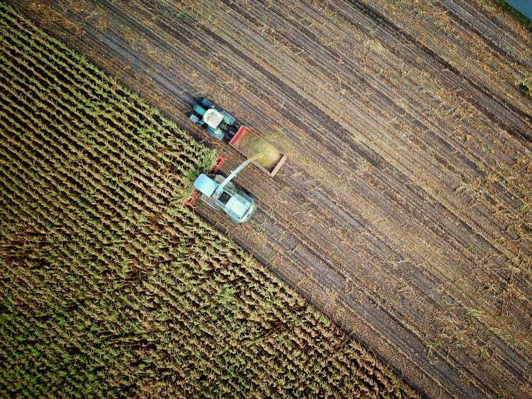 We each get 7 square metres of cropland per day. Too much booze and pizza makes us exceed it