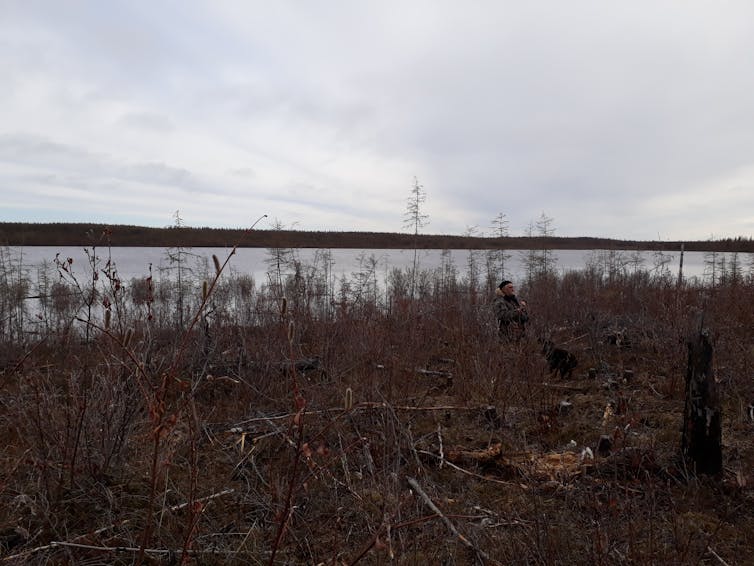 Brown bracken hides a figure in front of a river.