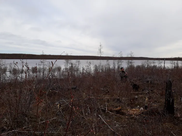 Brown bracken hides a figure in front of a river.