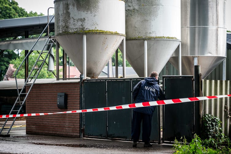 A health official inspecting a cordoned off section of a Dutch mink farm.