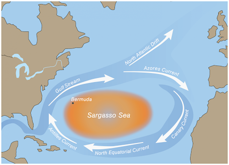 Map of Sargasso Sea with ocean currents.