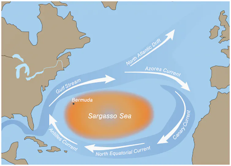 Map of Sargasso Sea with ocean currents.
