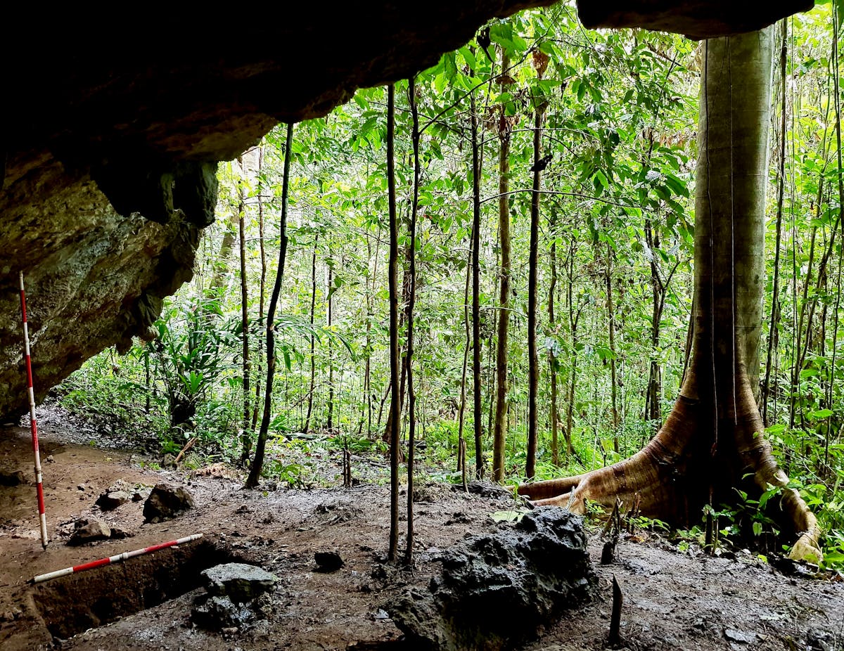 Stone Tools From A Remote Cave Reveal How Island Hopping Humans Made A Living In The Jungle Millennia Ago