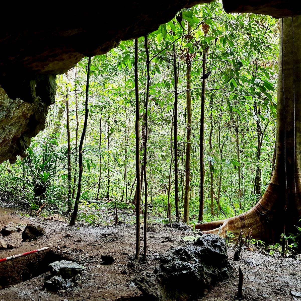 Stone Tools From A Remote Cave Reveal How Island Hopping Humans Made A Living In The Jungle Millennia Ago Stone Tools From A Remote Cave Reveal How Island Hopping Humans Made A Living In The Jungle Millennia Ago