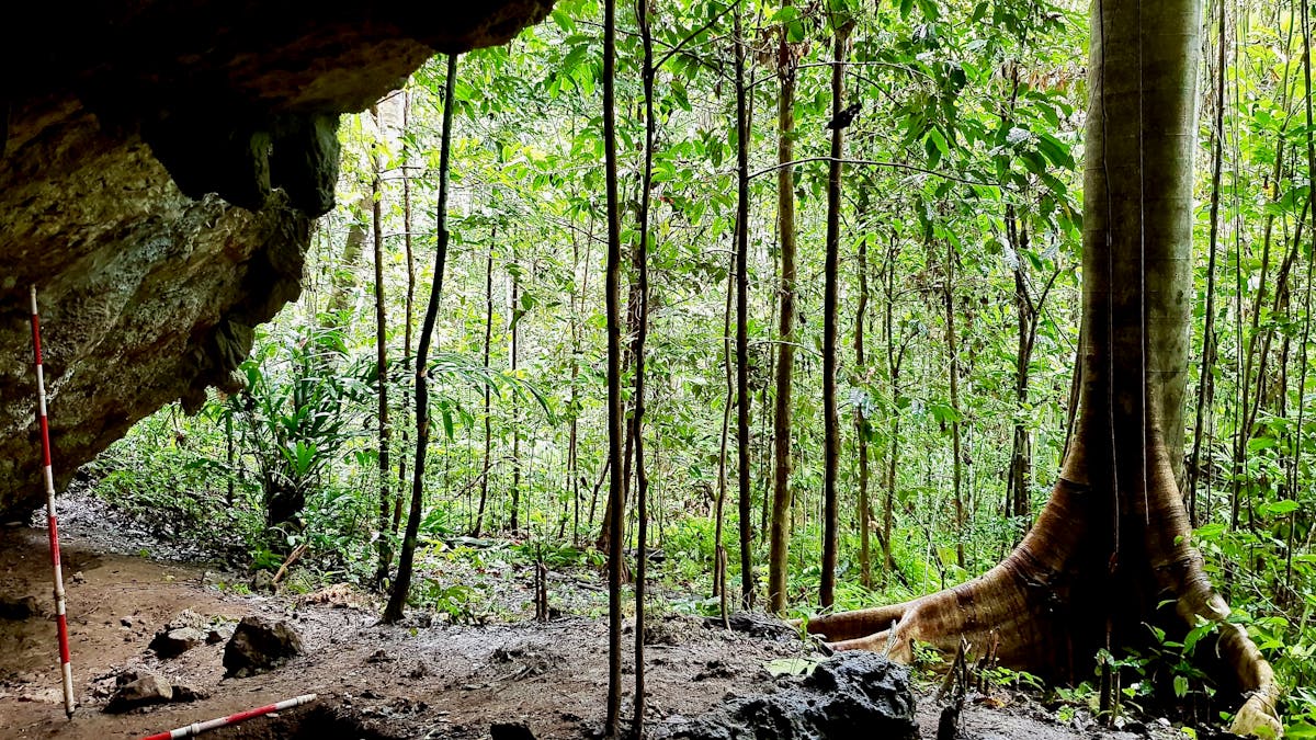 Stone Tools From A Remote Cave Reveal How Island Hopping Humans Made A Living In The Jungle Millennia Ago