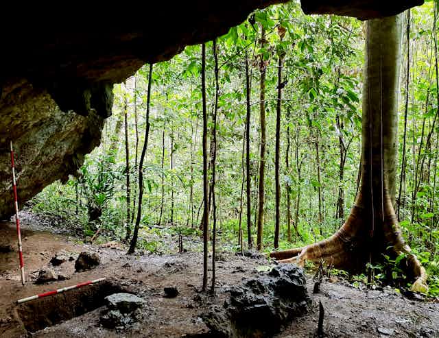 View of rainforest from inside cave