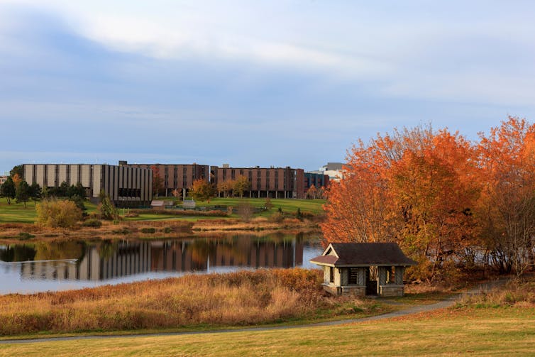 An orange leafed tree is seen in autumn near a pond in front of a university building.