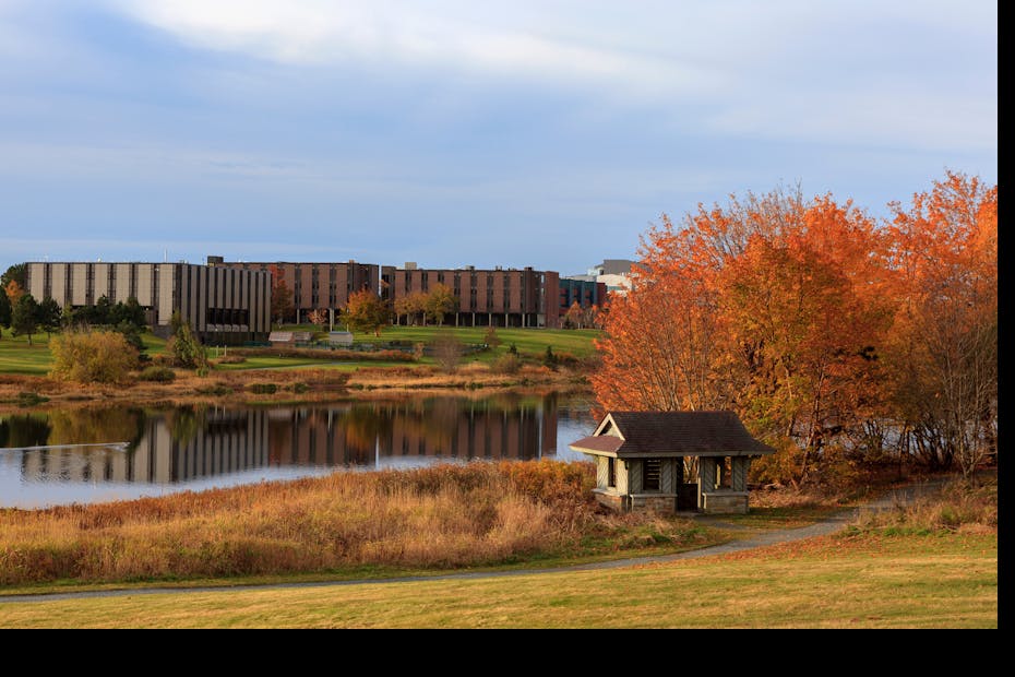 An orange leafed tree is seen in autumn near a pond in front of a university building.