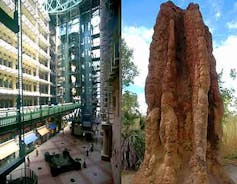 An image comparing the Eastgate Center with termites mounds which inspired the architecture