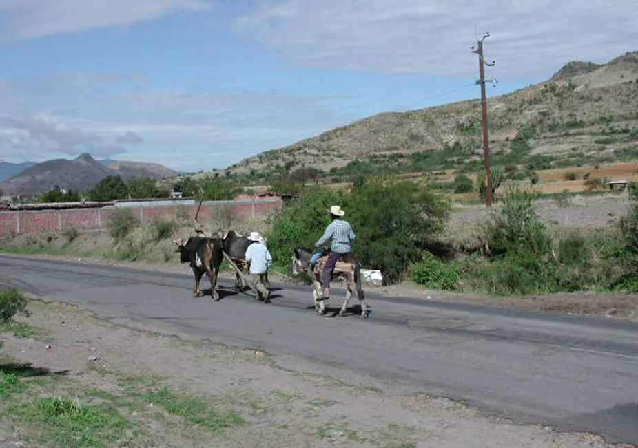 Des agriculteurs marchent avec des chevaux sur une route rurale avec des montagnes en arrière-plan