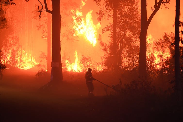 A firefighter tackling a bushfire in New South Wales.