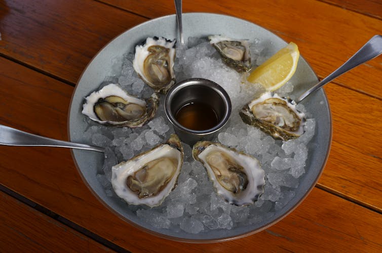 Six shucked oysters on a plate with a slice of lemon.