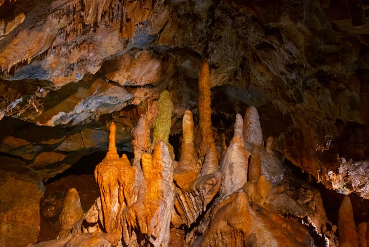 A group of stalagmites illuminated in a cave.