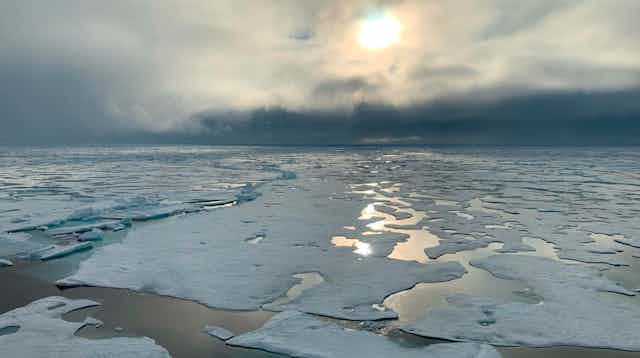 Sea ice in the arctic