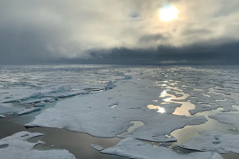 Sea ice in the arctic