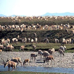 research paper about oil exploration