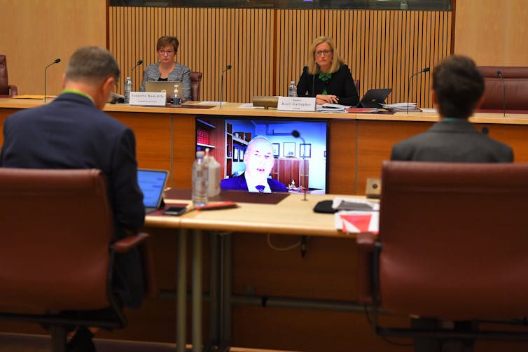 Aged Care Minister Richard Colebeck appearing at a Senate hearing via video link.