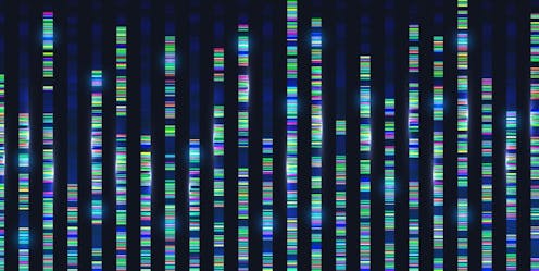 Genome sequencing tells us the Auckland outbreak is a single cluster — except for one case