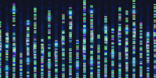 Coloured bands of genetic material representing sequencing