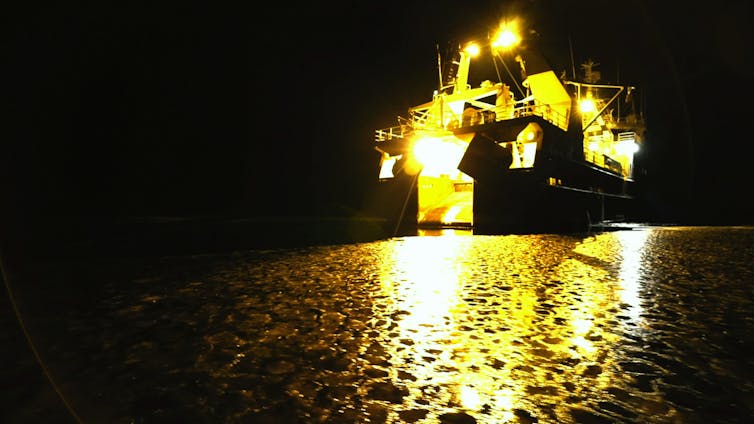A large ship covered in yellow lights illuminates the icy water.