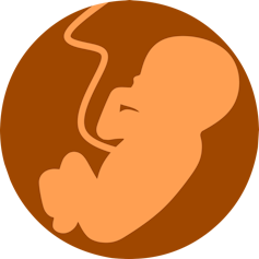 Silhouette of a fetus and umbilical cord.