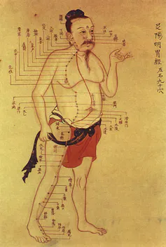 Man with meridians drawn on
